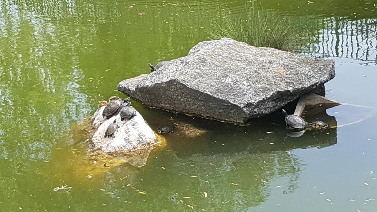 Lucky Apartment Piteszti Zewnętrze zdjęcie